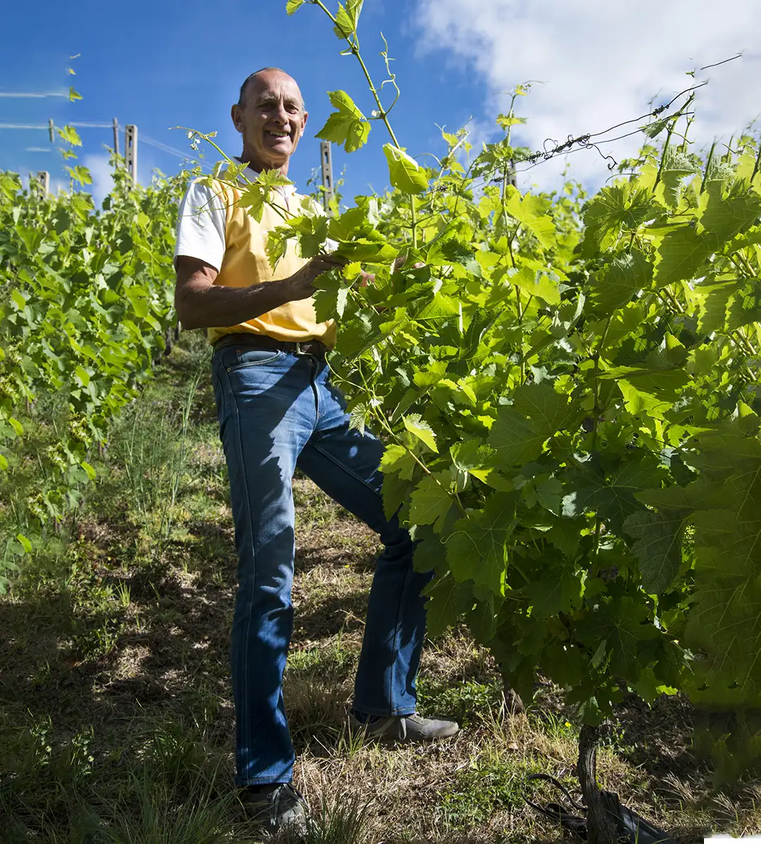 alessandro neyroz presidente cantina crotta di vegneron (ph. vgiannella) viticoltura eroica Valle d'Aosta, Crotta di Vegneron, Fumin affinamento miniera, vini autoctoni valdostani