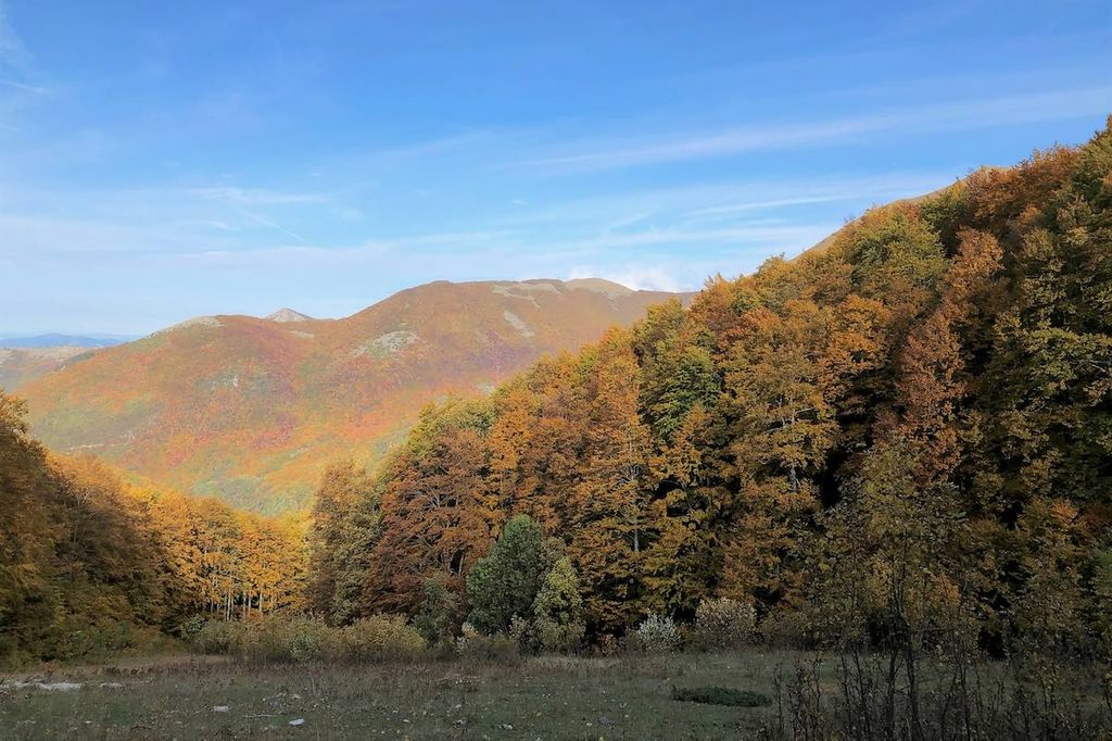 Idee weekend novembre tra boschi e foliage in Italia