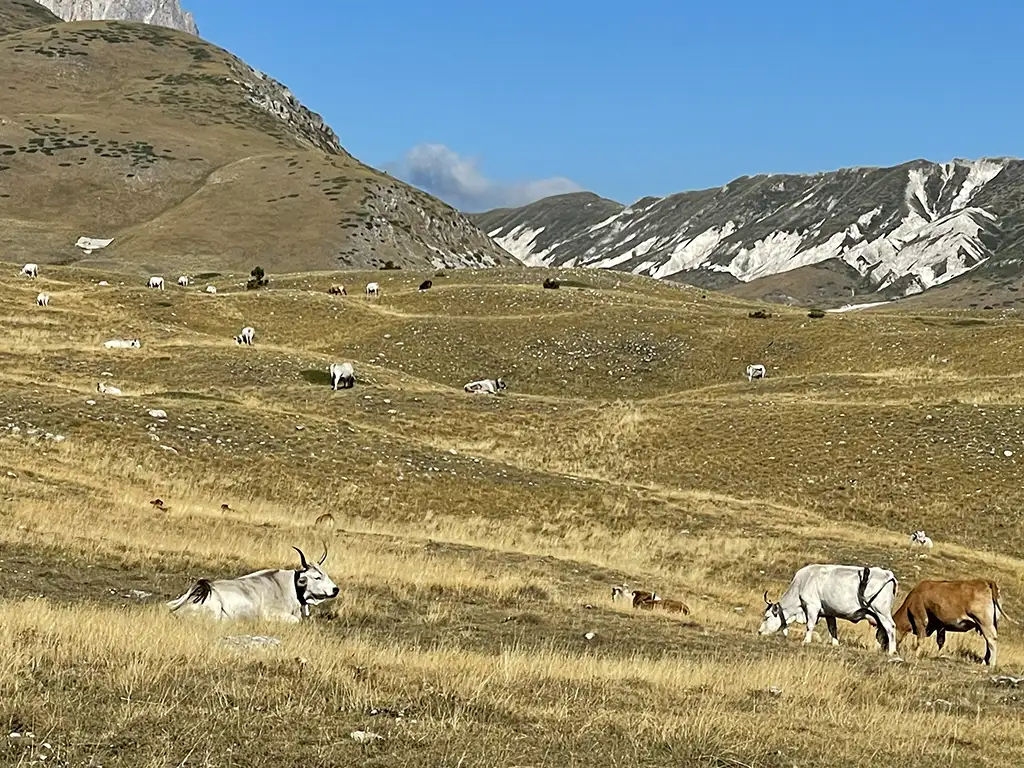 Marsica, itinerario Abruzzo, Gran Sasso, Campo Imperatore