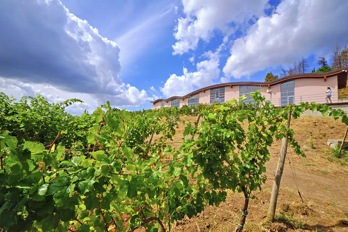 Basilicata del Nord, Vulture, Venosa, Melfi, Aglianico