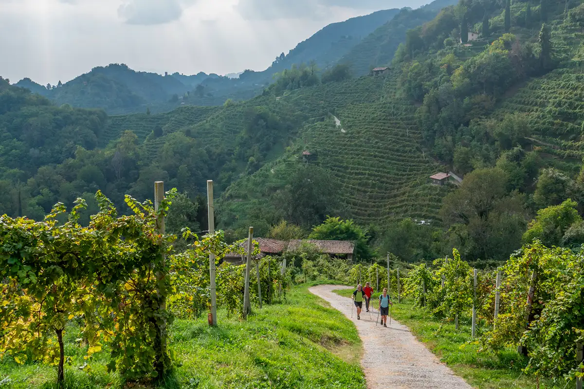 Giornata regionale dei cammini veneti, 13 itinerari sostenibili