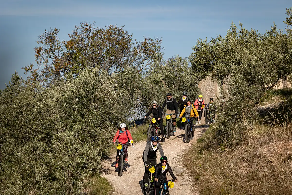 Frantoi Aperti 2026, Oleoturismo Umbria, cicloturismo
