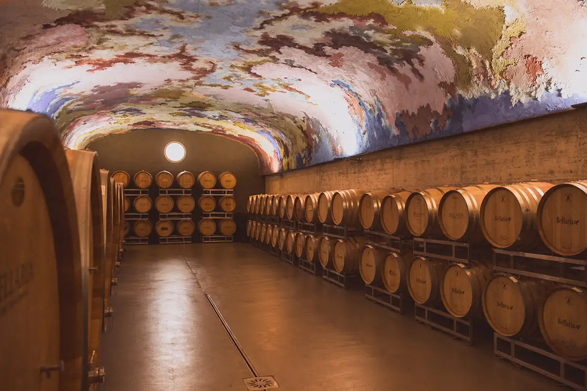 arte vino metodocontemporaneo - Agricola Bellaria (ph. Edoardo Piermattei) viaggi, arte, vino, MetodoContemporaneo, Cantine, paesaggio