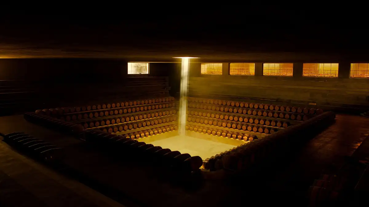 arte vino metodocontemporaneo - Rocca di Frassinello Barriccaia, progetto Renzo Piano viaggi, arte, vino, MetodoContemporaneo, Cantine, paesaggio