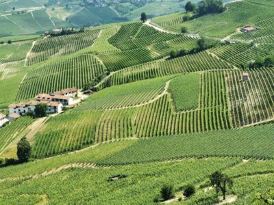 Home 37 Vacanze nelle Langhe tra vigneti e colline di La Morra