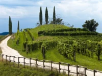Home 20 viaggi, arte, vino, MetodoContemporaneo, Cantine, paesaggio